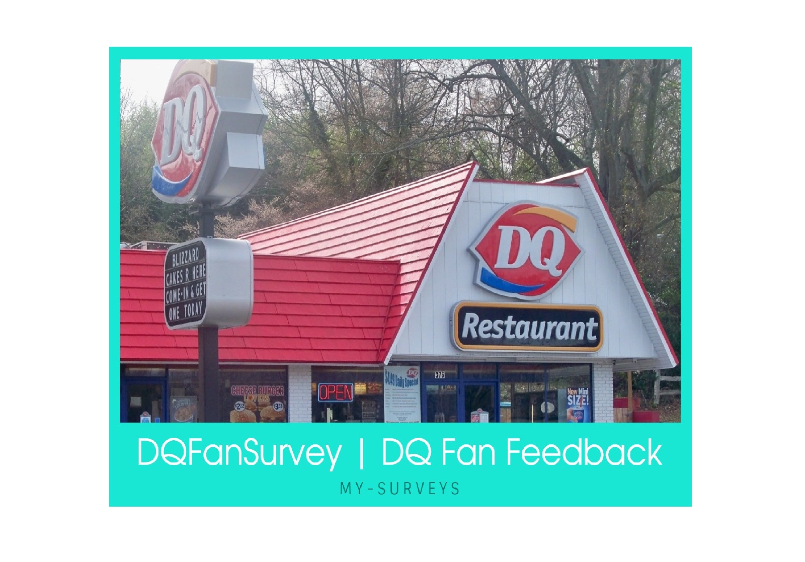 DQFanSurvey