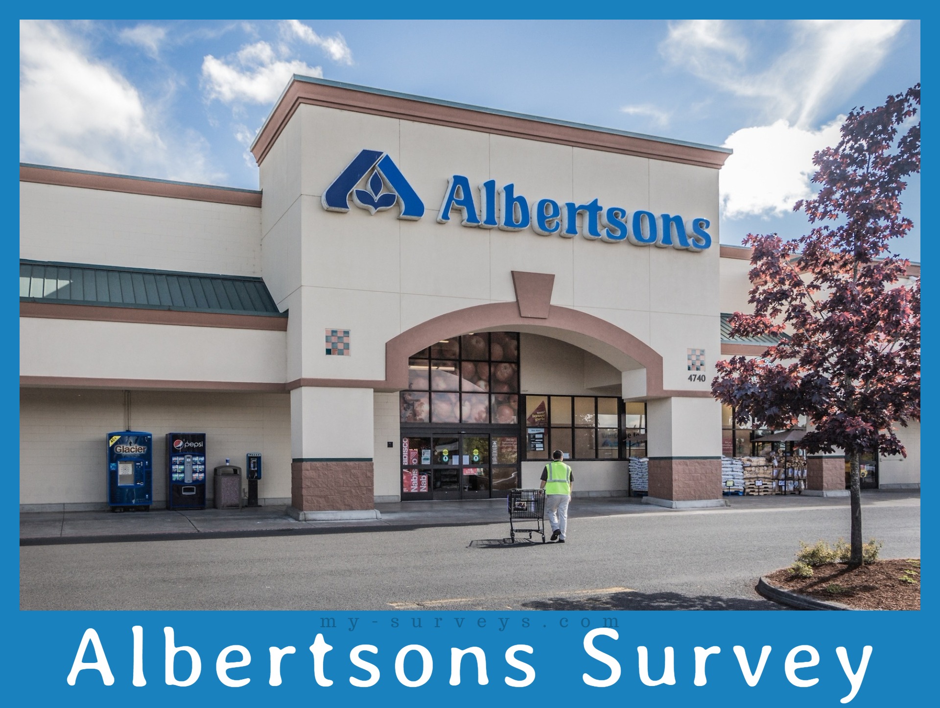 Albertsons Survey