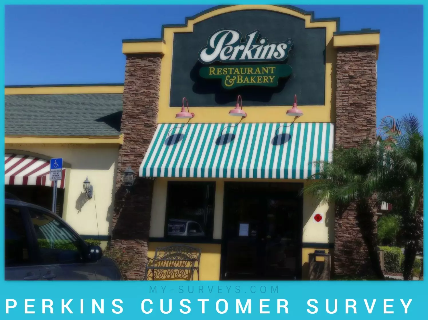 perkins survey