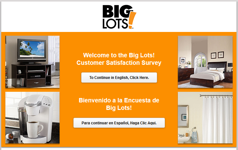 Big Lots Survey @ Big Lots Sweepstakes