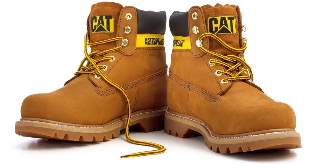 FREE PAIR OF CAT BOOTS