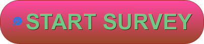 Fiesta Mart Survey